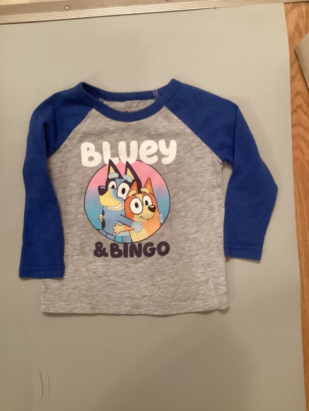 Bluey & Bingo long sleeve t-shirt (18 mo)